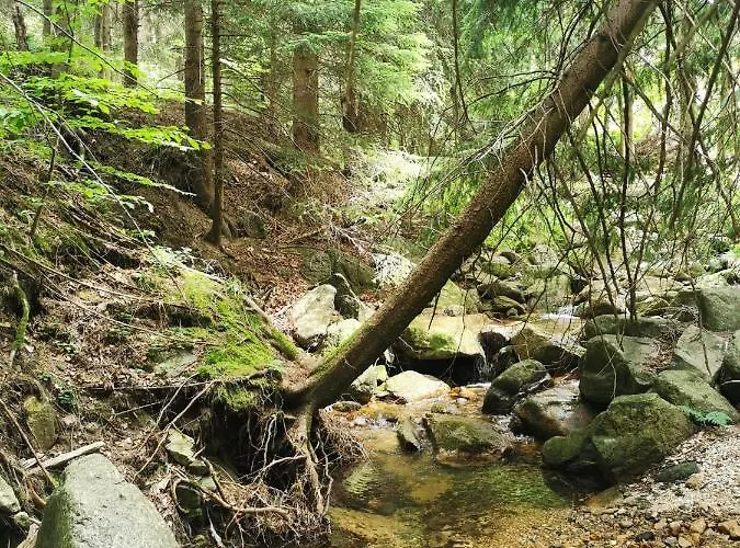 Appartement Gorski Potok