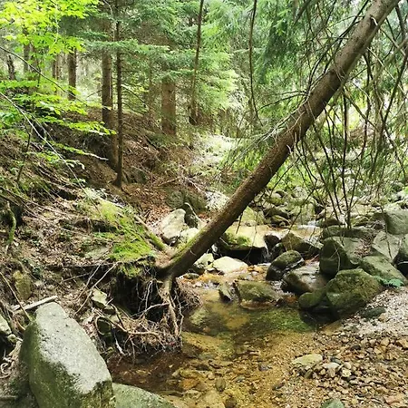 Apartman Gorski Potok